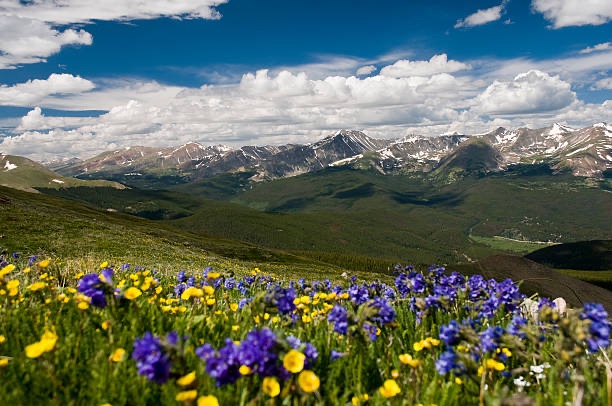 When Is the Best Time to Sell a House in Breckenridge, Colorado?